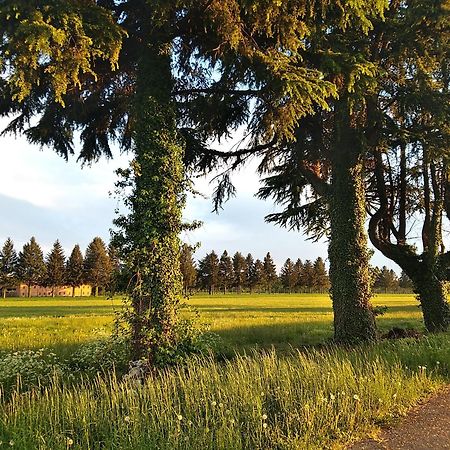 Appartamento La Casa Dei Nonni Malnate Buitenkant foto